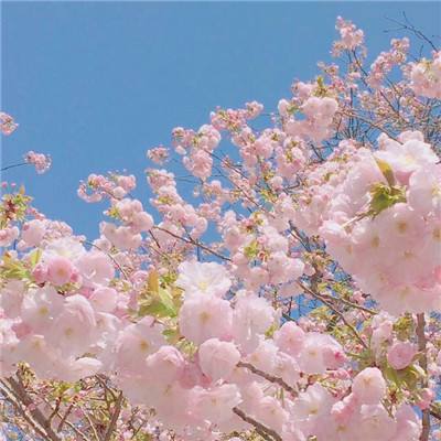 幸存之地之逃生之战手游(暂未上线)v1.0 安卓版