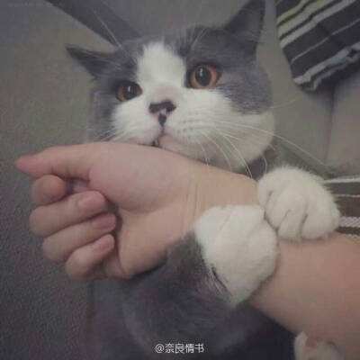 天堂之刃h5游戏下载